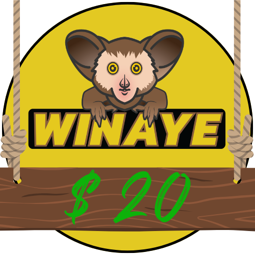 Winaye Gift Card