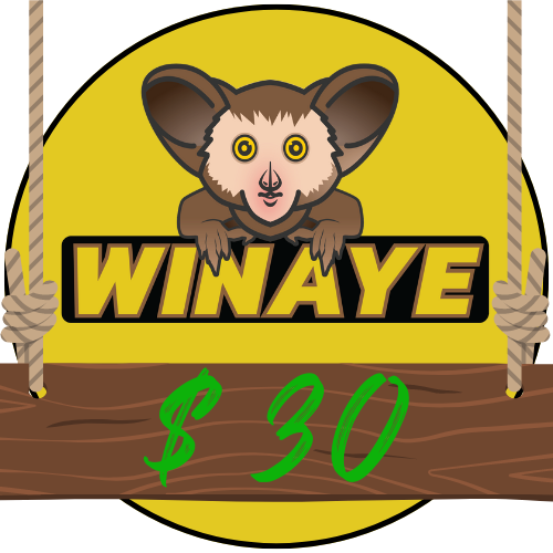 Winaye Gift Card